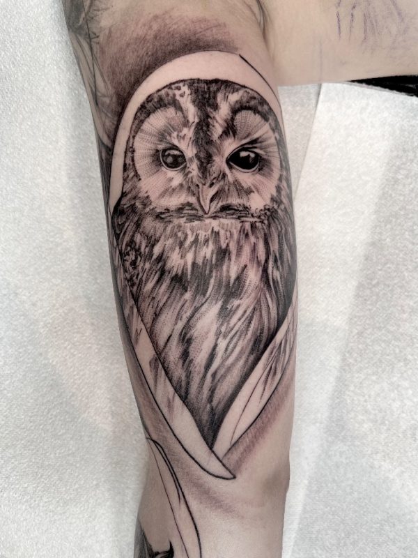 Fine line owl tattoo in black and grey shading symbolizing wisdom