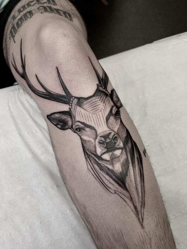 Fine line deer tattoo with graphic elements in blackwork style